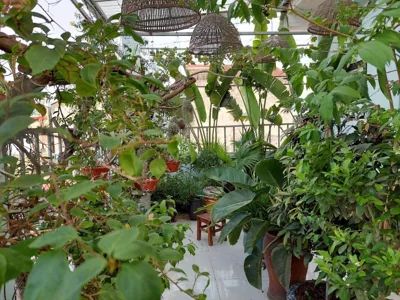 Alleyhomestay- Trần Đại Nghĩa – Photos 5